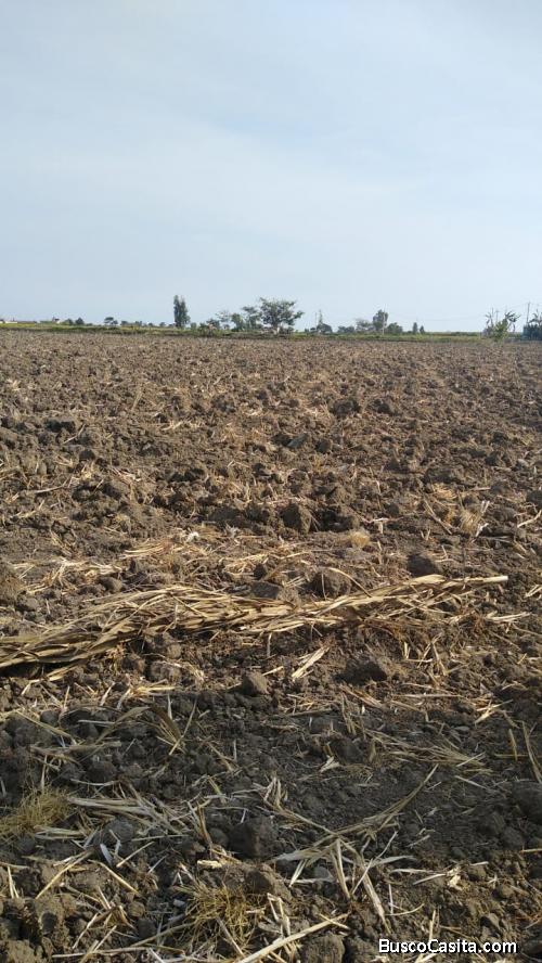 terreno en pimentel