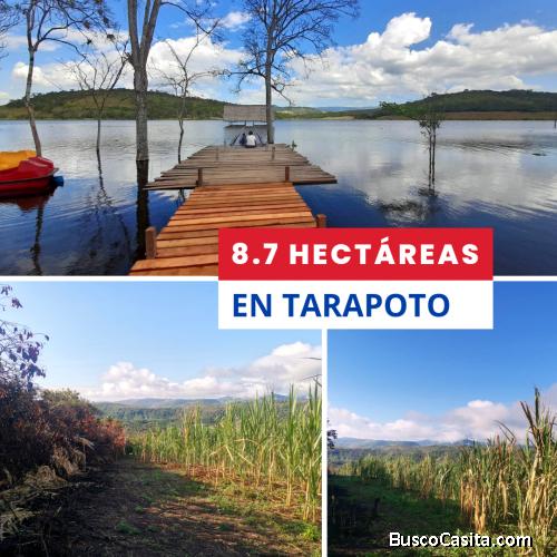 8.7 HECTÁREAS EN TARAPOTO 