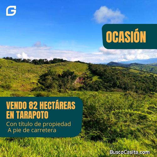 82 HECTÁREAS EN TARAPOTO, CUÑUMBUQUE 