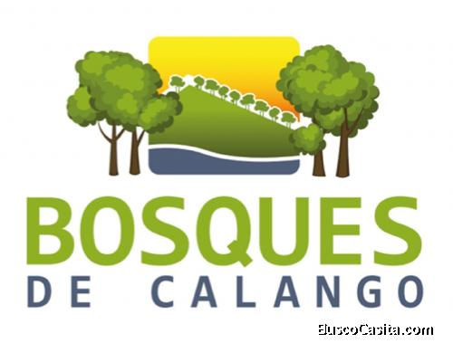 Lotes de Terreno en Calango (Mala)
