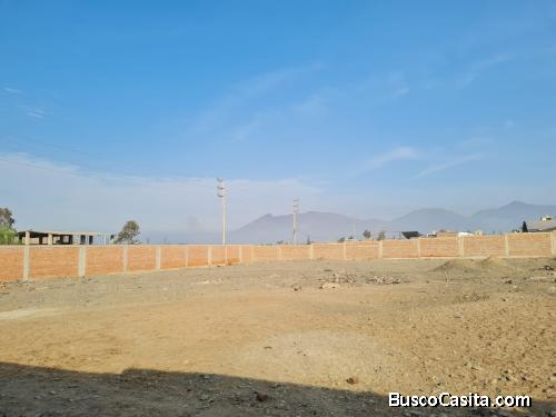 TERRENO EN VENTA - PACHACAMAC