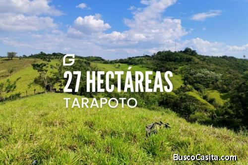 Vendo terreno 27 Hectáreas en TARAPOTO 