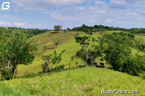Vendo terreno 27 Hectáreas en TARAPOTO 