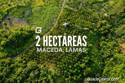 Vendo Terreno 2 Hectáreas En Tarapoto - Maceda