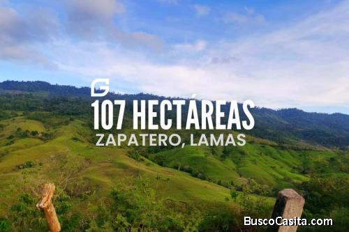 Vendo terreno 107 HECTÁREAS EN TARAPOTO 