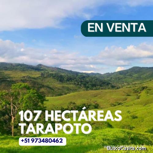 Vendo terreno 107 HECTÁREAS EN TARAPOTO 