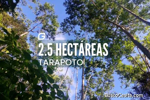 Vendo terreno 2.5 HECTÁREAS en Tarapoto 