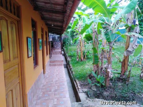 hermosa casa en el centro del pueblo san roque de cumbaza con casa y taller zona plana con posibilid