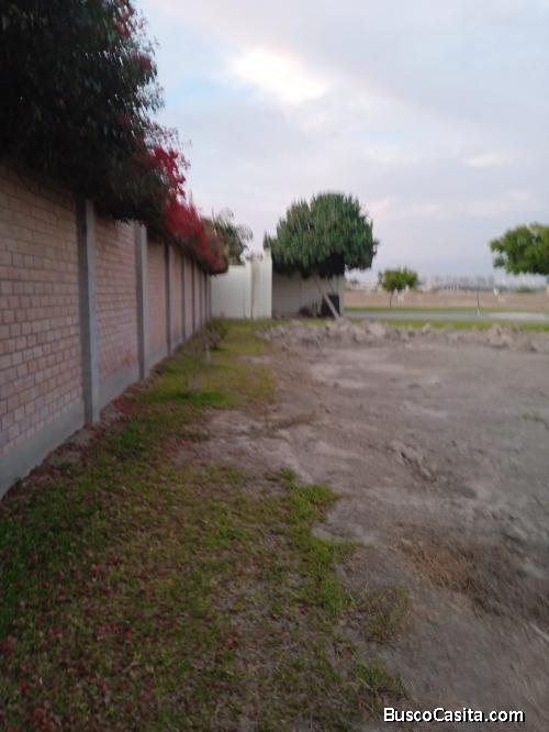 VENDO LOTE DE TERRENO EN CHINCHA 