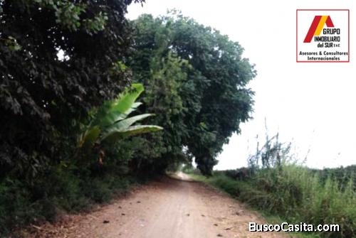 ● TERRENO RURAL EN CHINCHA EN VENTA, HOJA REDONDA - CHINCHA, 4.124