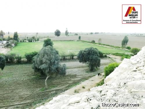 ● VENTA DE TERRENO 12 HA. EN SAN CLEMENTE - PISCO, CHINCHA