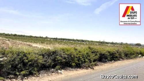 ● VENDO TERRENO AGRICOLA PEQUEÑA DE 6 HAS EN INDEPENDENCIA - PISCO, PISCO