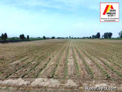● VENTA DE TERRENO AGRICOLA EN INDEPENDENCIA - PISCO - 8 HECTÁREAS, PISCO