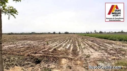 ● VENDO TERRENO RURAL 4 HAS - EL CARMEN (CHINCHA), EL CARMEN