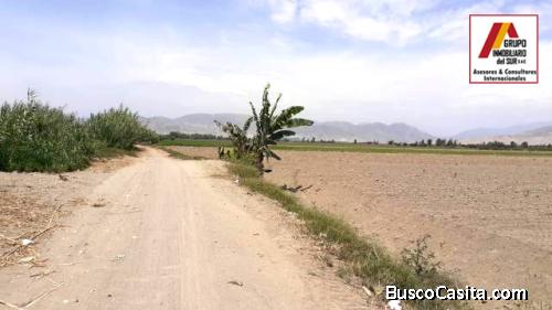 ● VENDO TERRENO AGRICOLA 5.5 HAS, SAN JOSE EL CARMEN - CHINCHA, CHINCHA BAJA