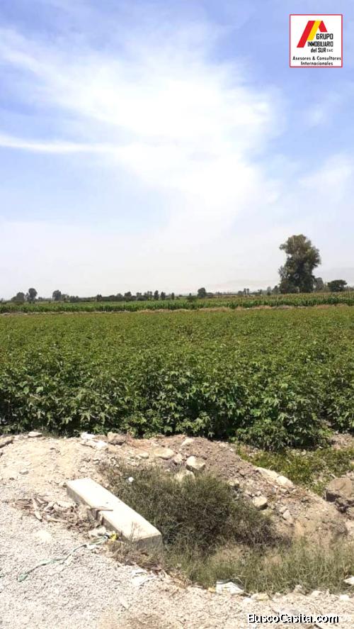 ● VENDO TERRENO AGRICOLA PEQUEÑA DE 5,6 Y 8 HAS EN INDEPENDENCIA, PISCO