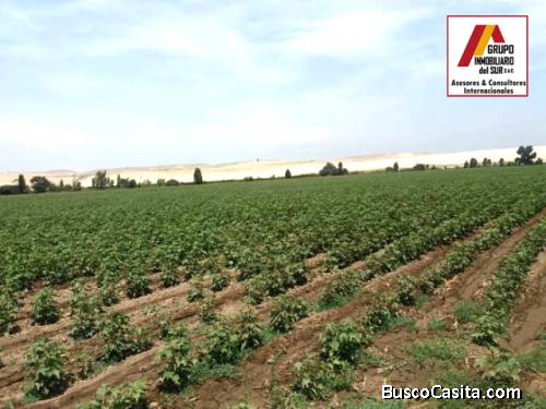 ● VENTA DE TERRENO PARA CASAS DE CAMPO Y PLAYA, PISCO