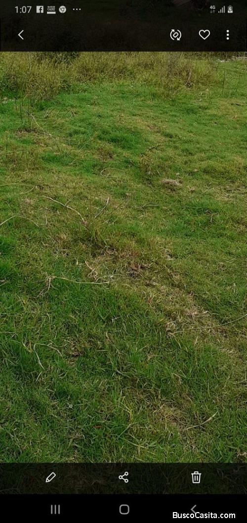 VENDO TERRENO TRUIJILLO POROTO PARA AGRICULTURA 1.000 HECTAREAS $530,000