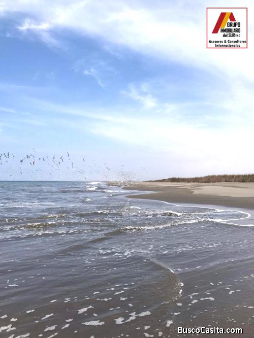 VENDO 54,732 m² PRIMERA FILA PLAYA CAUCATO, SAN CLEMENTE - PISCO