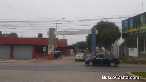 Terreno Plano Fundo El Olivar en Pachacamac