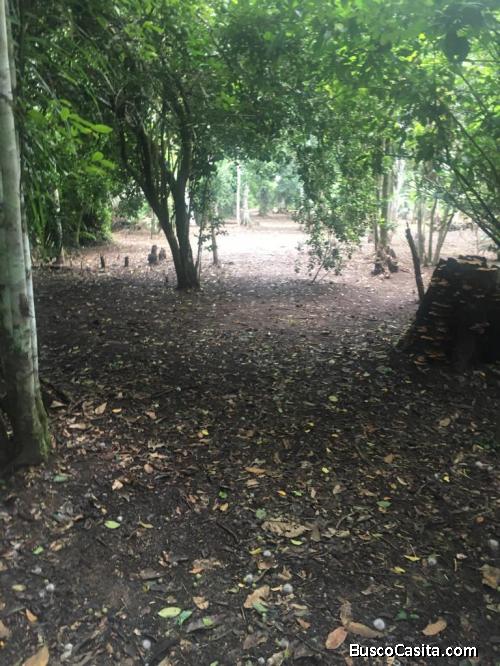 Terreno de 1 ha en el corredor turistico