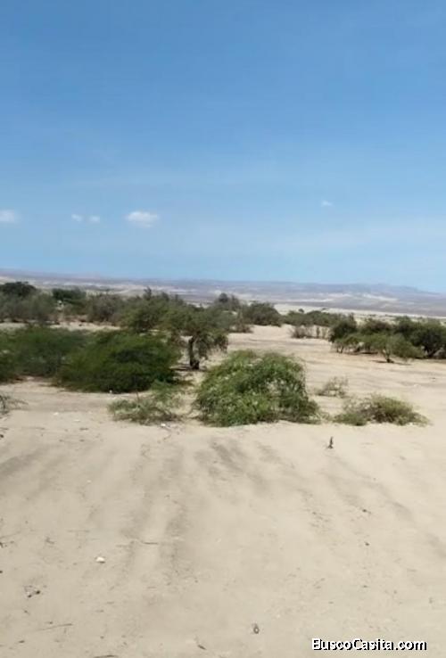 Vendo 2 lotes en panamericana sur paracas a 3$ el Mt2