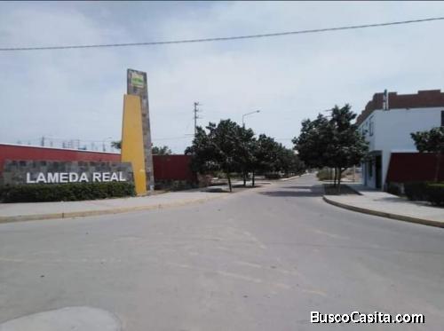 VENDO LOTE TERRENO  LOS PORTALES 6TA ETAPA  LAMBAYEQUE CHICLAYO PERÚ   ALAMEDA REAL LAMBAYEQUE
