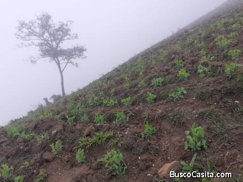 chacra en venta