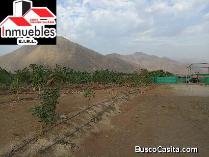 se vende terreno de 4 hectareas  para casa de campo