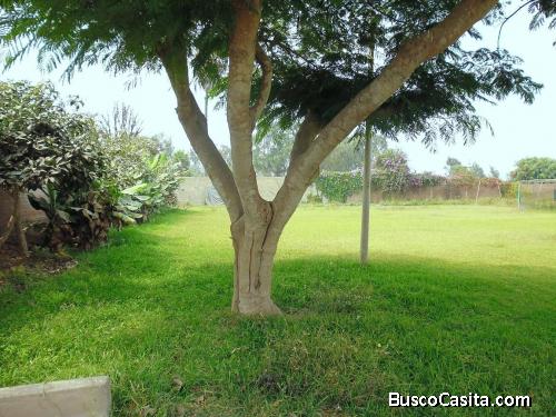Excelente Terreno con excelentes oportunidades en Casablanca – Pachacámac.