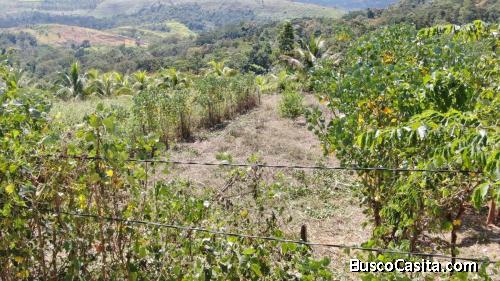 VENTA DE TERRENO TARAPOTO | VISTA IMPRESIONANTE