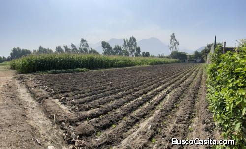 PACHACAMAC, LIMA Vendo 1288 m2 