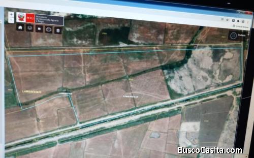 VENDO 15 HECTAREAS TERRENO AGRICOLA