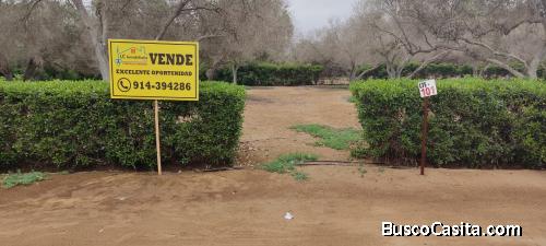 EXCELENTE TERRENO FUNDO EL OLIVAR PUCUSANA