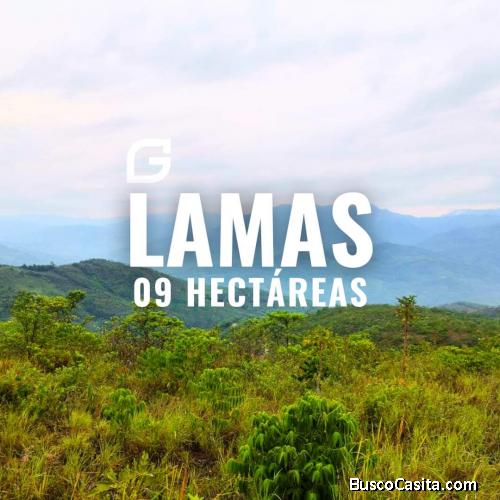 VENDO 9 HECTÁREAS EN TARAPOTO 