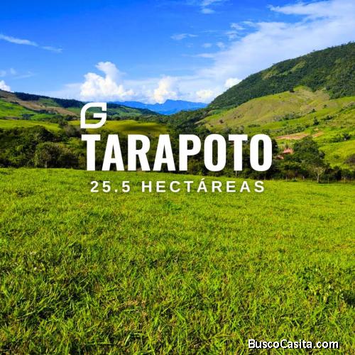 VENDO 25.5 HECTÁREAS EN TARAPOTO 