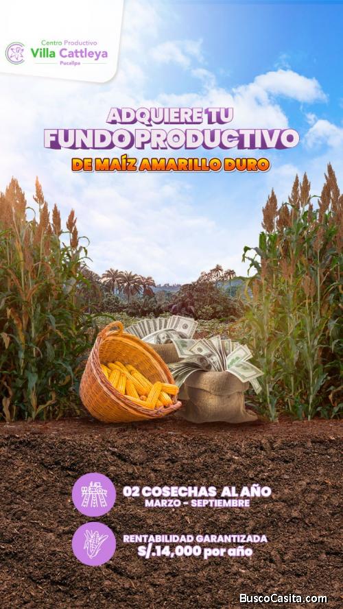 Invierta en Terrenos Productivos