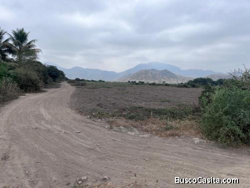 Terreno en venta Ferreñafe Chiclayo