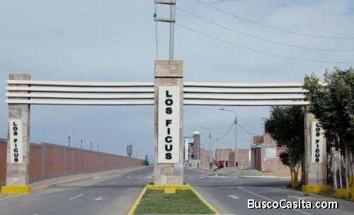 Terreno en venta Urb. Los Ficus 