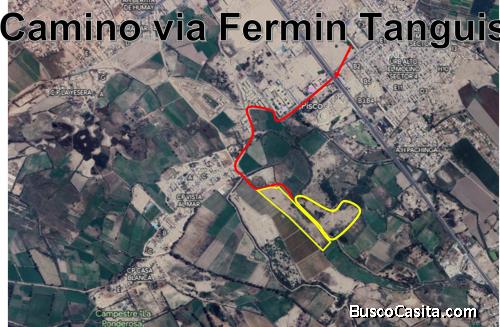 Terreno en el predio Pachinga - Pisco de 8.6 has en zona de tratamiento especial