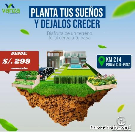 SE VENDE LOTES DE PLAYA Y CAMPO AL SUR DE PISCO, ICA, CAÑETE