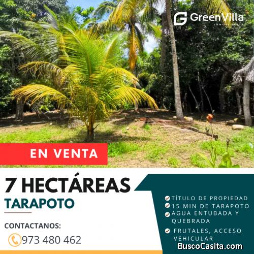 EN VENTA 7 HECTÁREAS EN TARAPOTO 