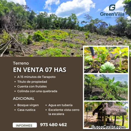 EN VENTA 7 HECTÁREAS EN TARAPOTO 