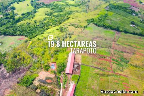 Vendo Terreno 19.8 hectáreas Tarapoto 