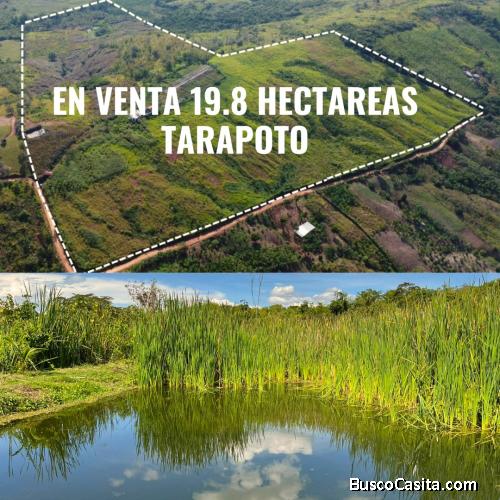 VENDO 19.8 HECTÁREAS EN TARAPOTO 