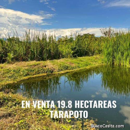 TERRENO 19.8 HECTÁREAS EN TARAPOTO 