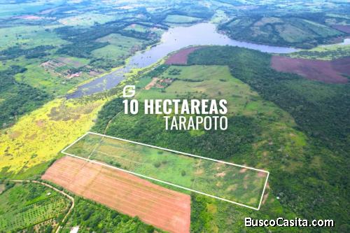 VENDO 10 HECTÁREAS EN TARAPOTO