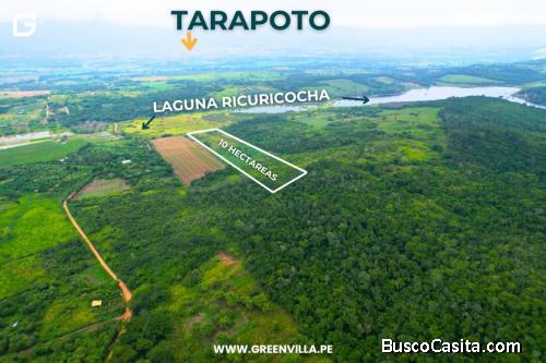 VENDO TERRENO 10 HECTÁREAS EN TARAPOTO