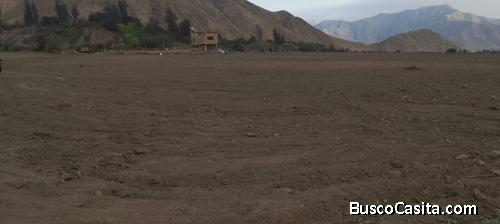 Venta o Alquiler De Fundo Solar De 10 Ha En Supe-barranca-lima