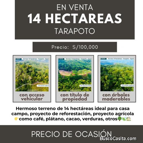 VENDO TERRENO 14 HECTÁREAS EN TARAPOTO 